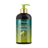 Mielle® Avocado & Tamanu Anti-Frizz Shampoo