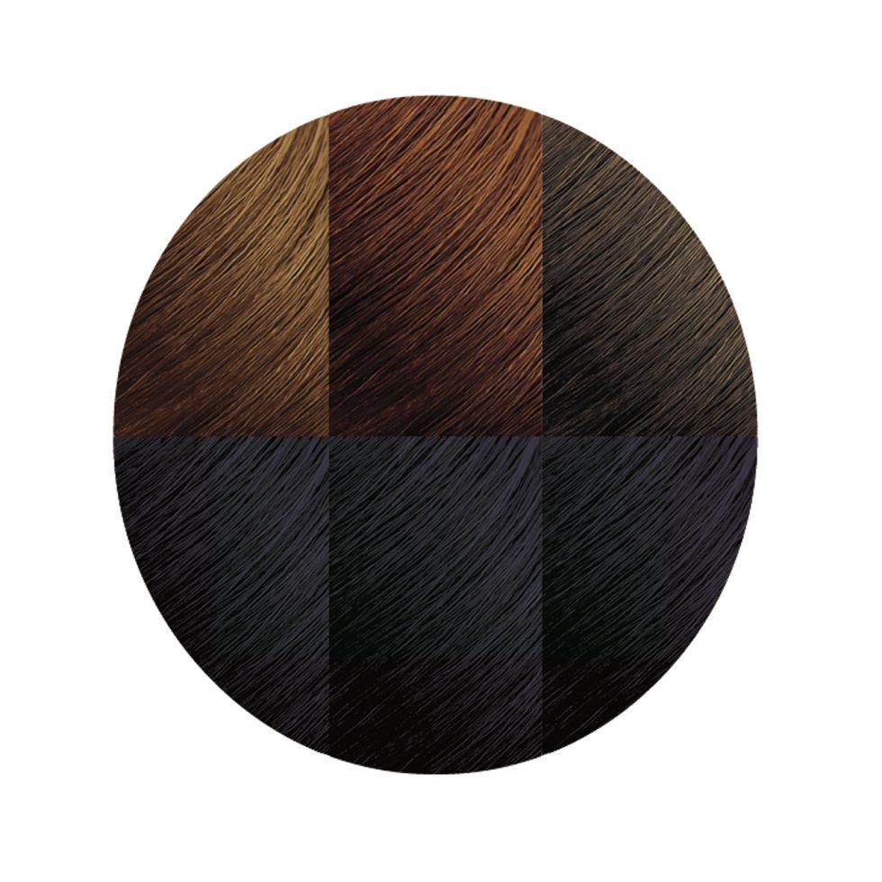 Creme of Nature® ARGAN OIL from MOROCCO Exotic Shine™ Color with Argan Oil from Morocco (1.0 Intense Black)